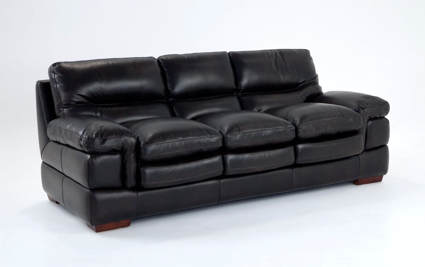 carter leather couch sofa