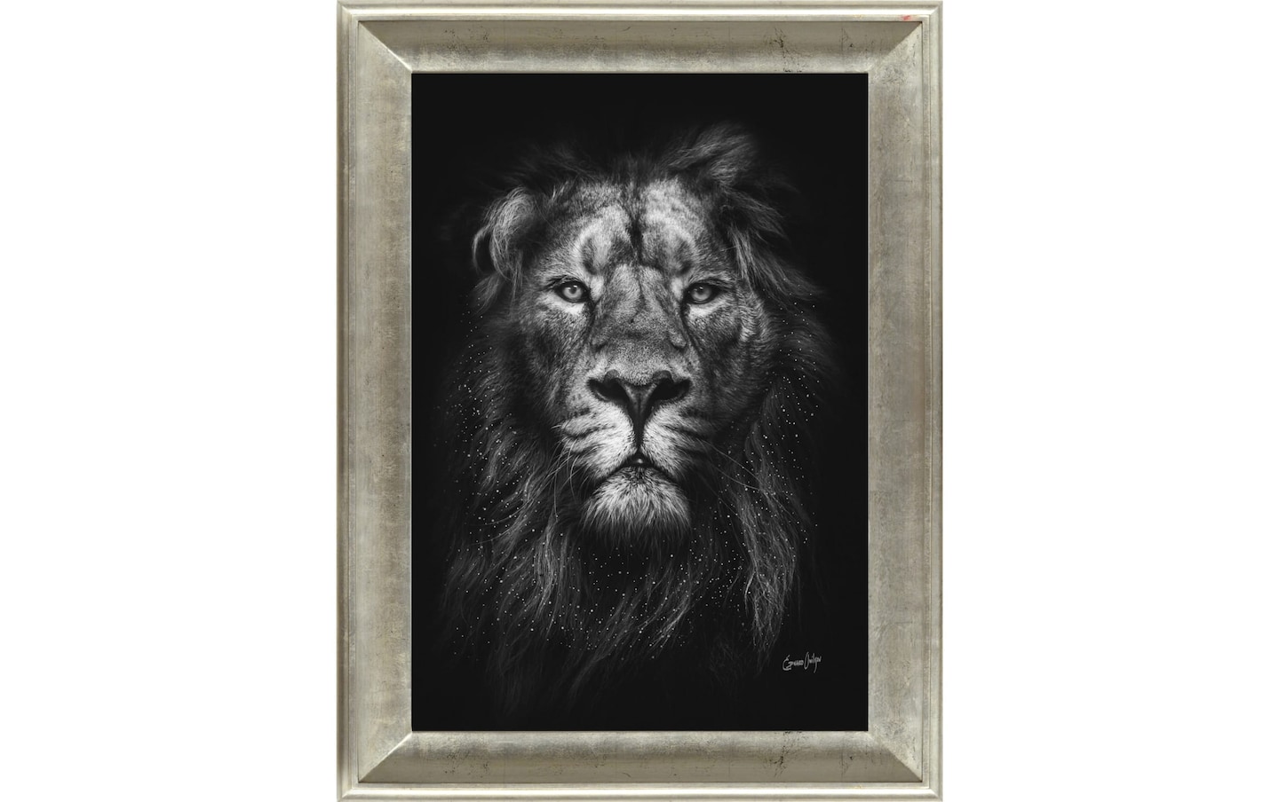 Majestic Lion Framed Wall Art | Bob's Discount Furniture & Mattress Store