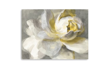 Abstract Rose Canvas Wall Art | Bob's Discount Furniture & Mattress Store